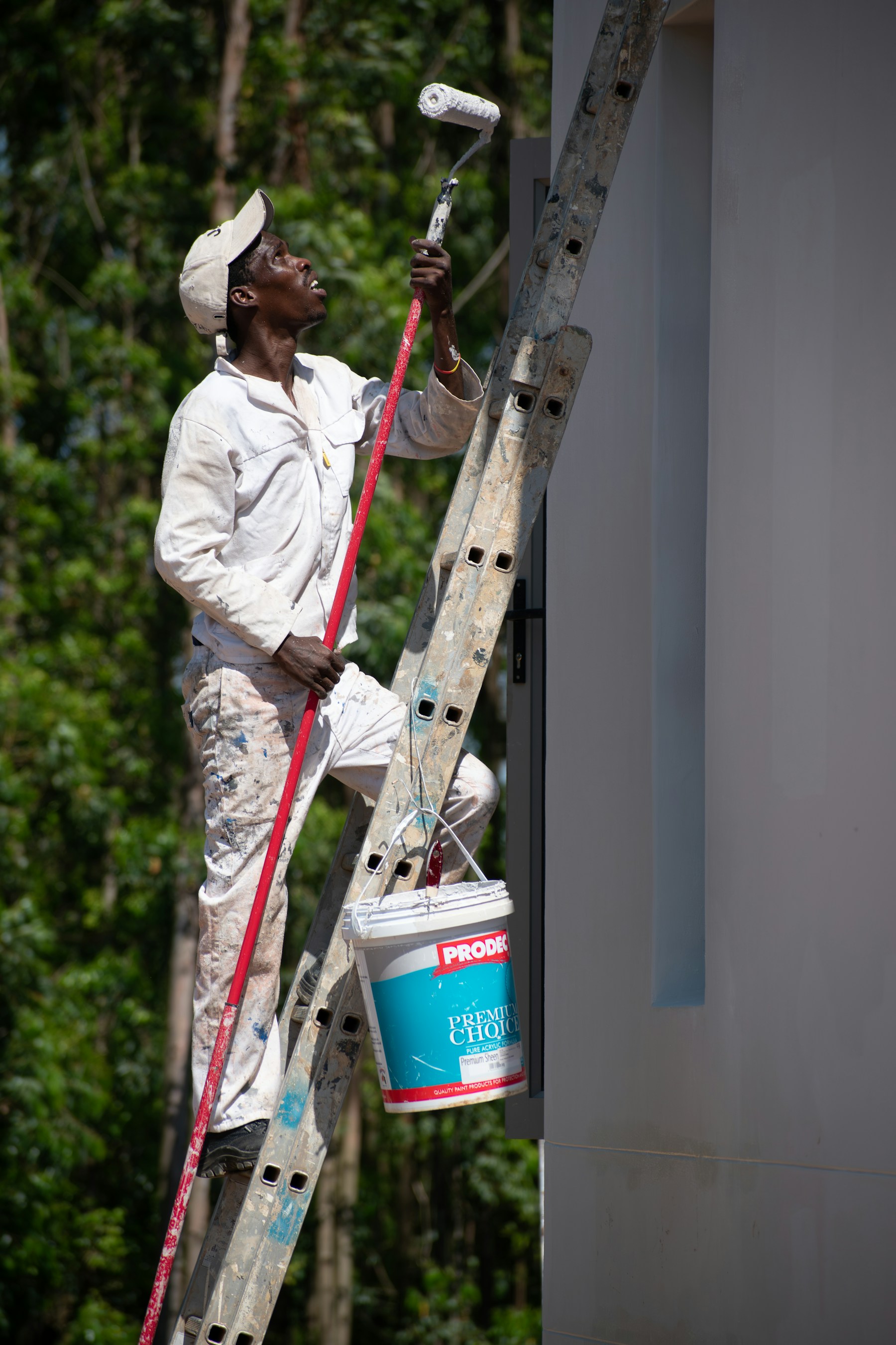 Painter applying a careful exterior finish from a ladder